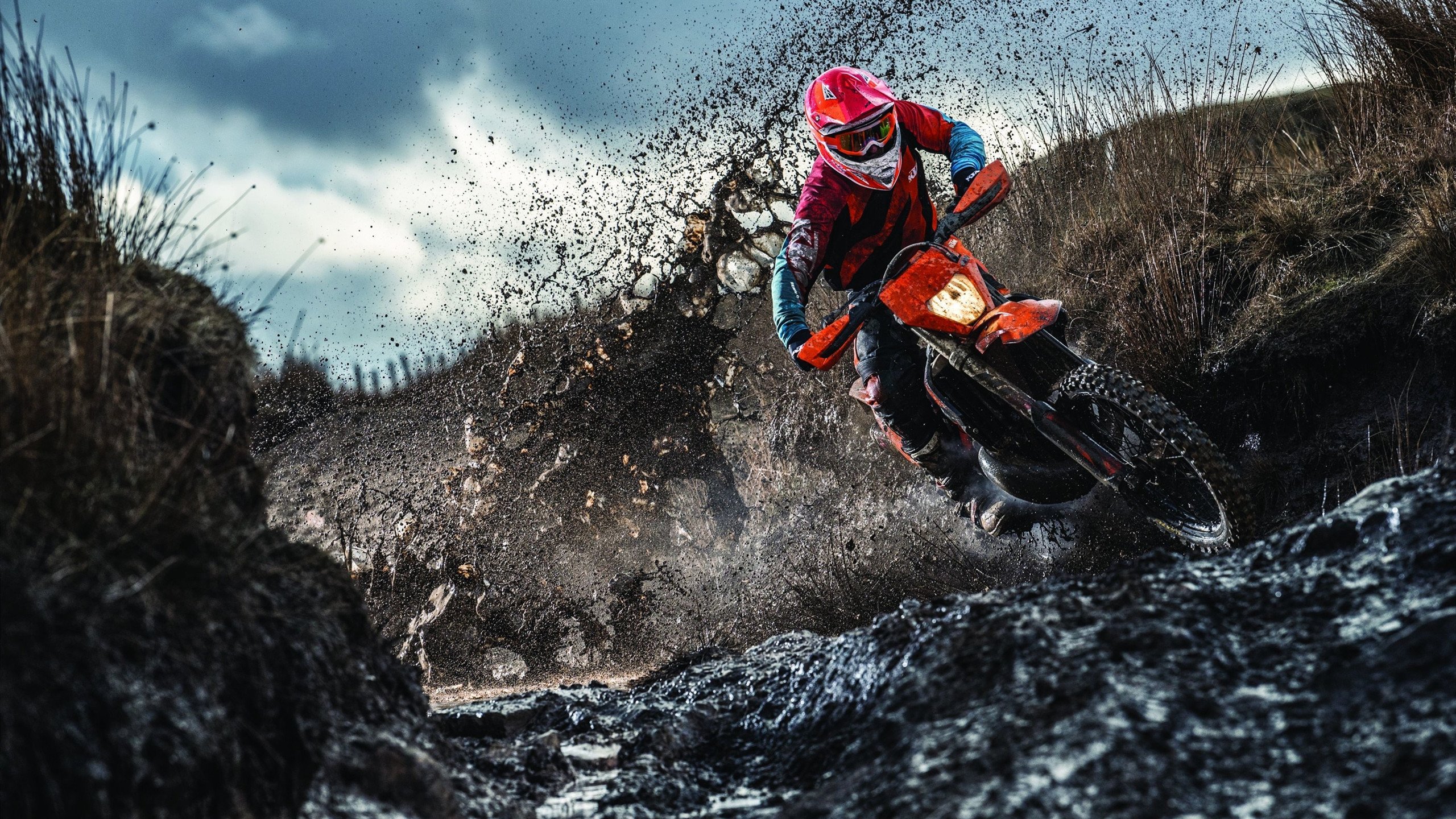 阿德莱德联扬威连胜晋级四强，阿德莱德联足球俱乐部